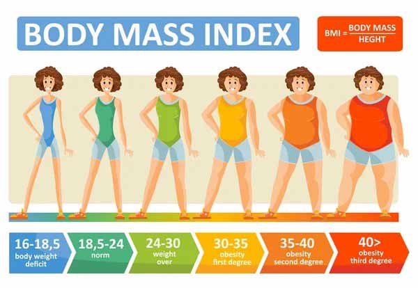 body mass index explained